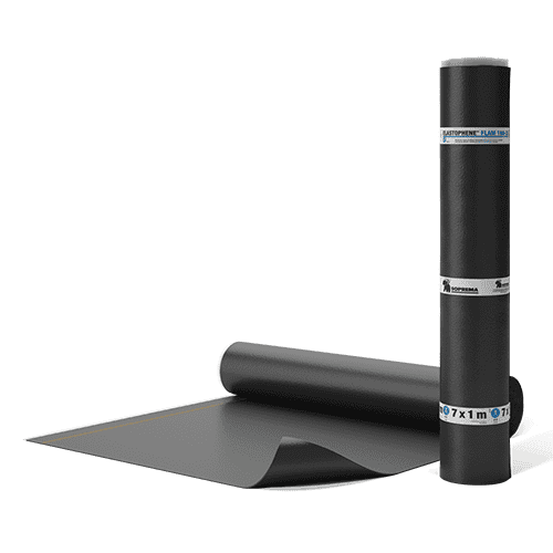 Image du produit 100